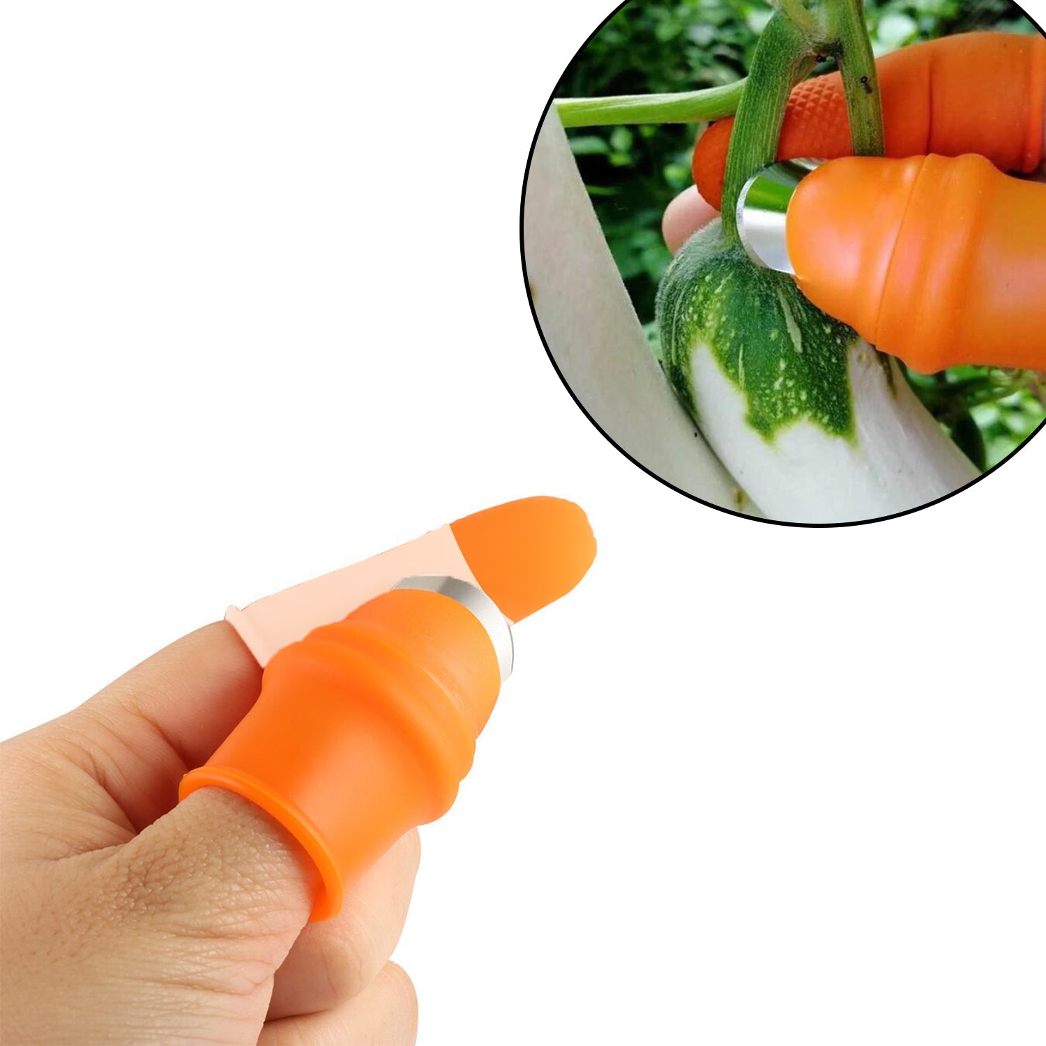 2662 Vegetable Thumb Cutter and tool with effective sharp cutting blade system. 2662 Vegetable Thumb Cutter and tool with effective sharp cutting blade system.